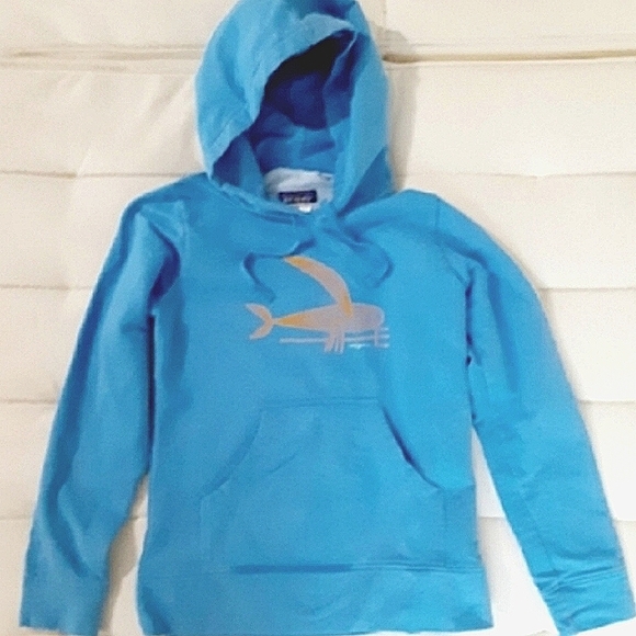 Patagonia Other - Patagonia Women's Sweatshirt Hoodie XS